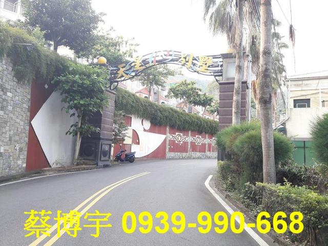 大坑天星國家別墅法拍